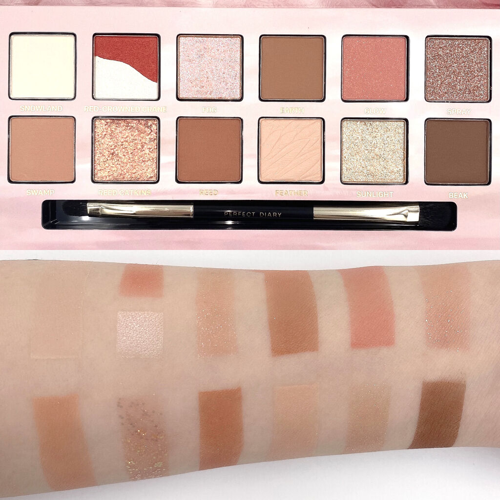 エクスプローラ12色 動物アイシャドウパレット/PERFECT DIARY/アイシャドウパレットを使ったクチコミ（2枚目）
