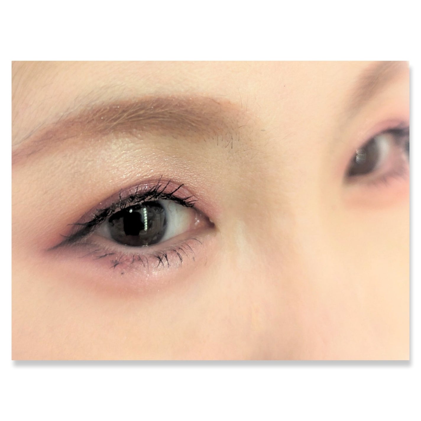 オーラクリエイション/BLEND BERRY/アイシャドウパレットを使ったクチコミ(2枚目)