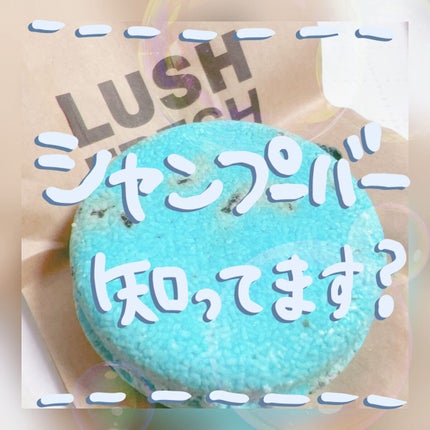 のりのりシーサイド/ラッシュ/市販シャンプーを使ったクチコミ(1枚目)