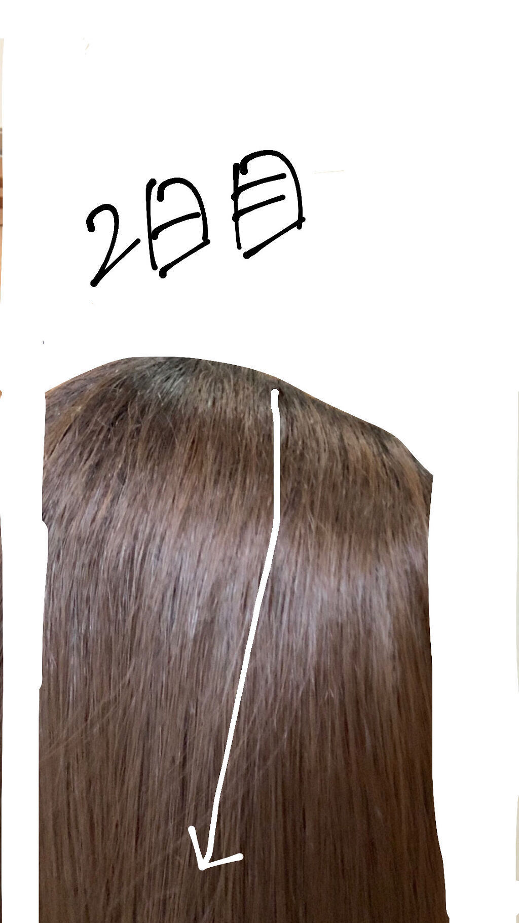 MASUGU シャンプー／トリートメント/STYLEE/市販シャンプーを使ったクチコミ（3枚目）