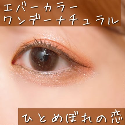 エバーカラーワンデー ナチュラル/エバーカラー/ワンデー(1DAY)カラコンを使ったクチコミ(1枚目)