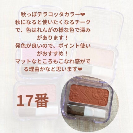 ナチュラル チークN/CEZANNE/パウダーチークを使ったクチコミ(5枚目)