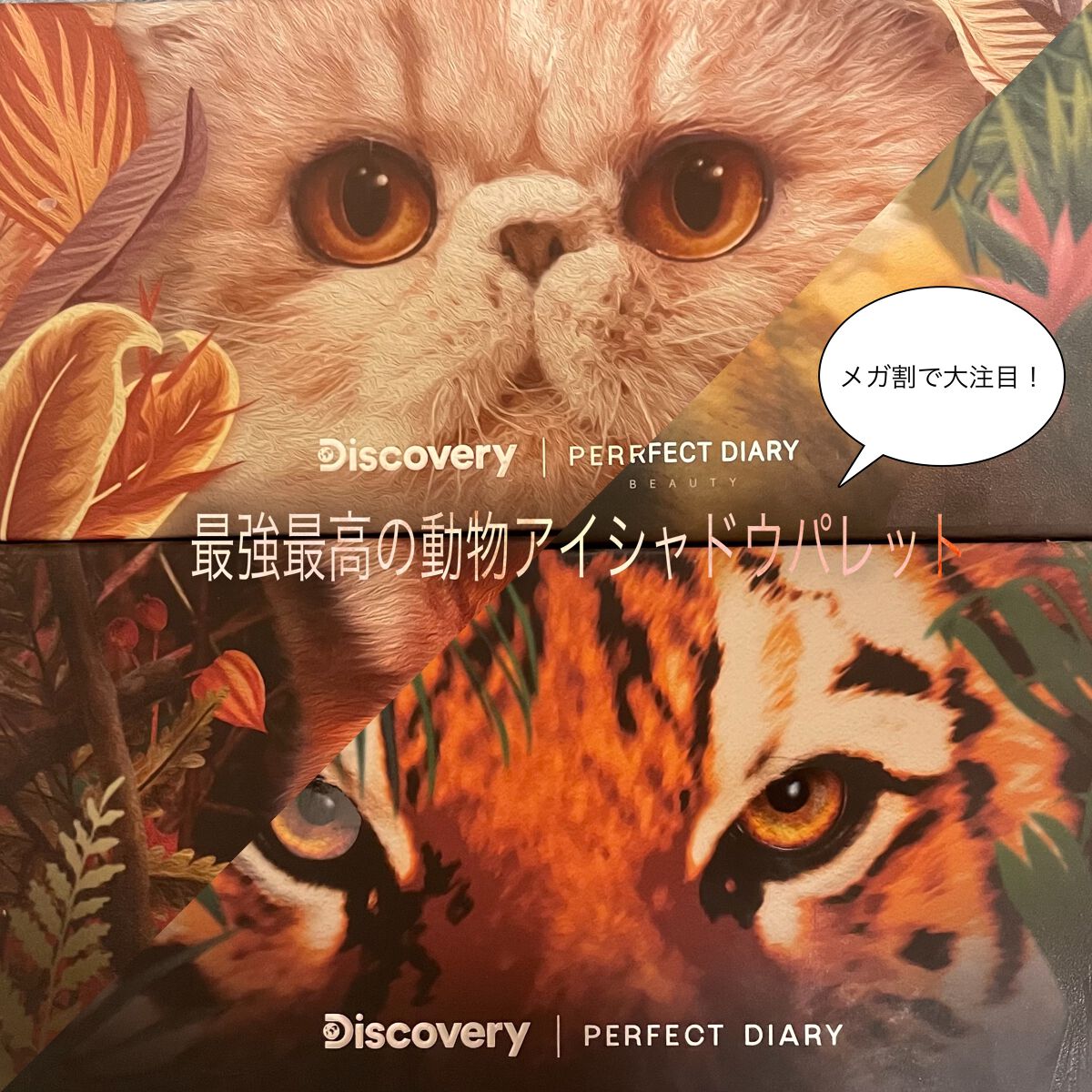 エクスプローラ12色 動物アイシャドウパレット/PERFECT DIARY/アイシャドウパレットを使ったクチコミ（1枚目）