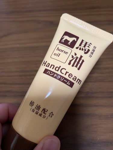 安く売られていたので買ってみました！

使い心地は椿油が配合されておりしっとり保湿されてる感じがある。
ただ、塗った直後見た目テカテカしててベタつきはなくサラサラしているけど油っぽい感じ？

気になる人