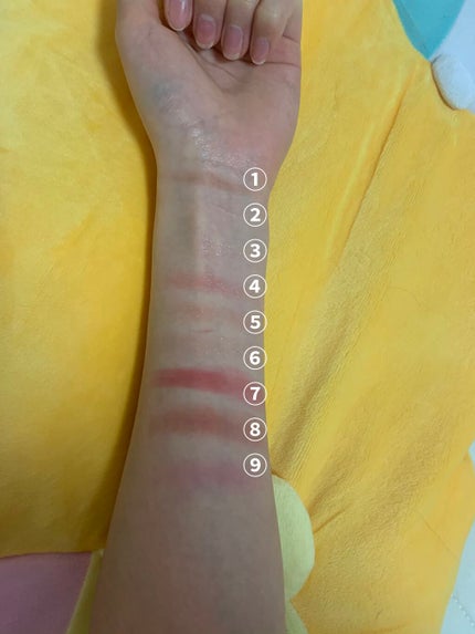 Love Bear マットリップスティック/FlowerKnows/口紅を使ったクチコミ(2枚目)