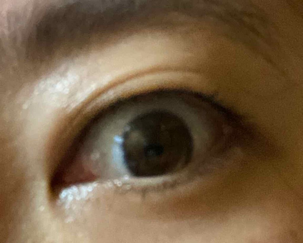 ハトムギ化粧水(ナチュリエ スキンコンディショナー R )/ナチュリエ/化粧水を使ったクチコミ（1枚目）