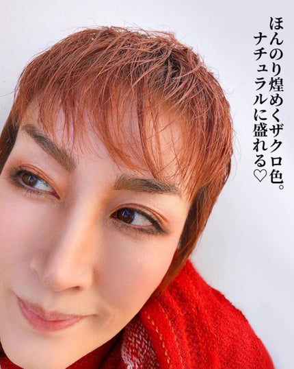 パーフェクトスタイリストアイズ/キャンメイク/アイシャドウパレットを使ったクチコミ(4枚目)