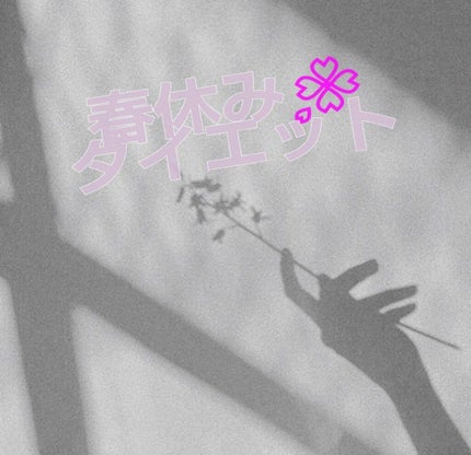 ã䜿ã£ãã¯ãã³ãïŒ1æç®ïŒ