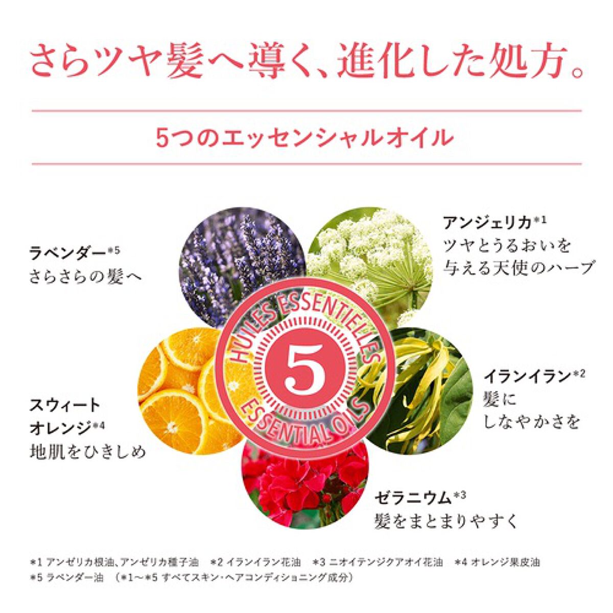 ファイブハーブスリペアリングシャンプー/コンディショナー/L'OCCITANE/シャンプー・コンディショナーを使ったクチコミ(3枚目)