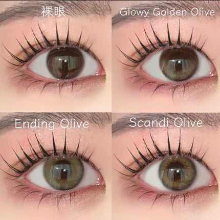 SCANDI 1day/OLENS/カラーコンタクトレンズを使ったクチコミ(2枚目)