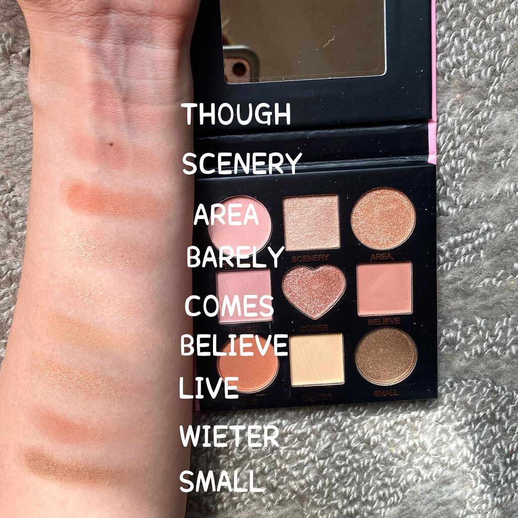  ソフトアイシャドウ/NOVO/アイシャドウパレットを使ったクチコミ（2枚目）