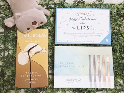 スキルレスライナー/LUMIURGLAS/リキッドアイライナーを使ったクチコミ(1枚目)