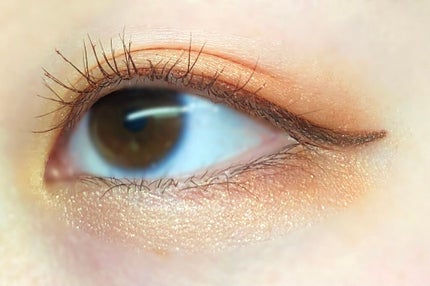 グロッシーリッチ アイズ N/Visée/アイシャドウパレットを使ったクチコミ(2枚目)