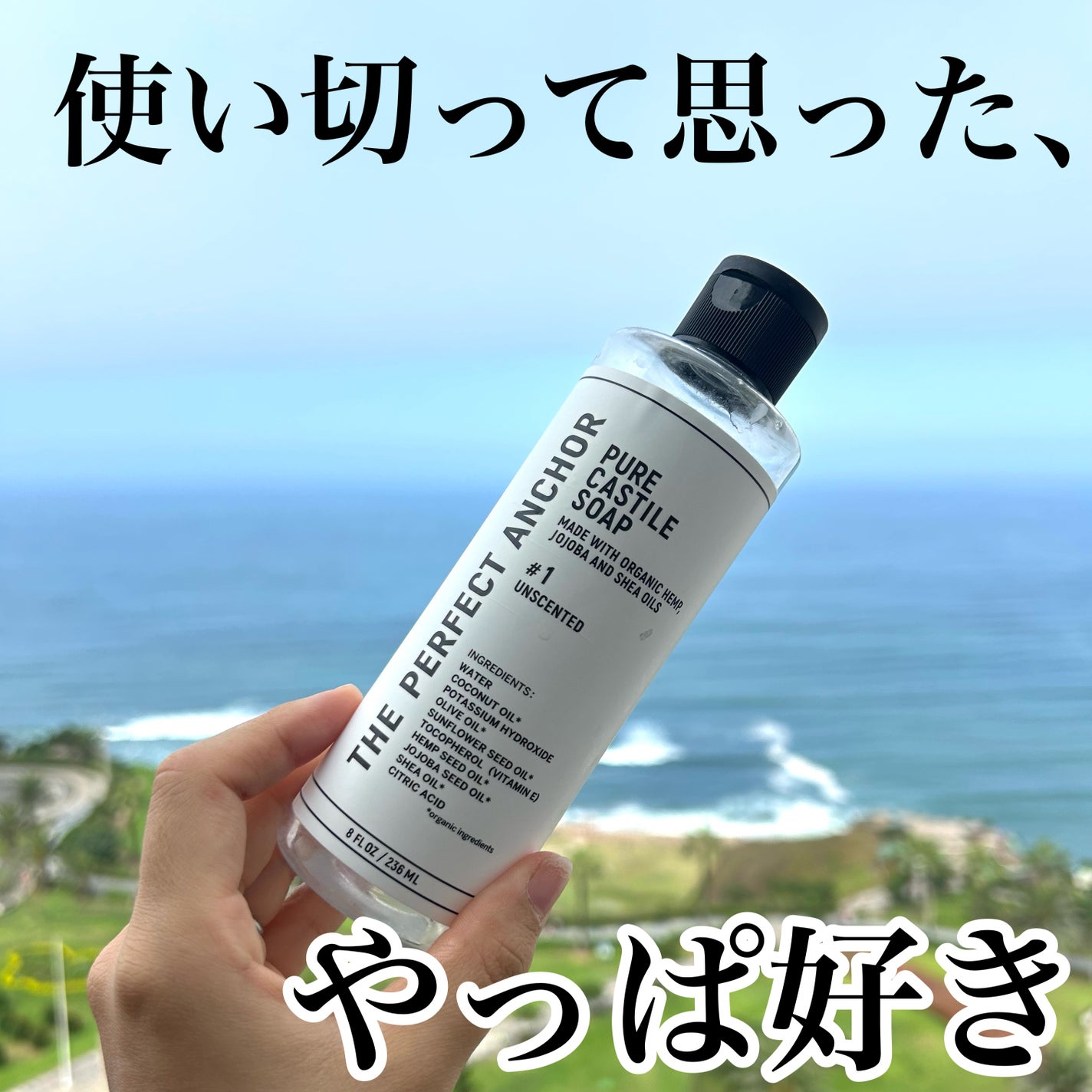 ザ・パーフェクトアンカー アンセンティッド(香りなし) #1/THE PERFECT ANCHOR/ボディソープを使ったクチコミ(1枚目)