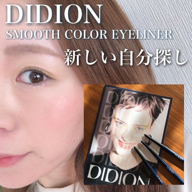 スムース カラー アイライナー 06 The Other Day/DIDION/ペンシルアイライナーを使ったクチコミ（1枚目）