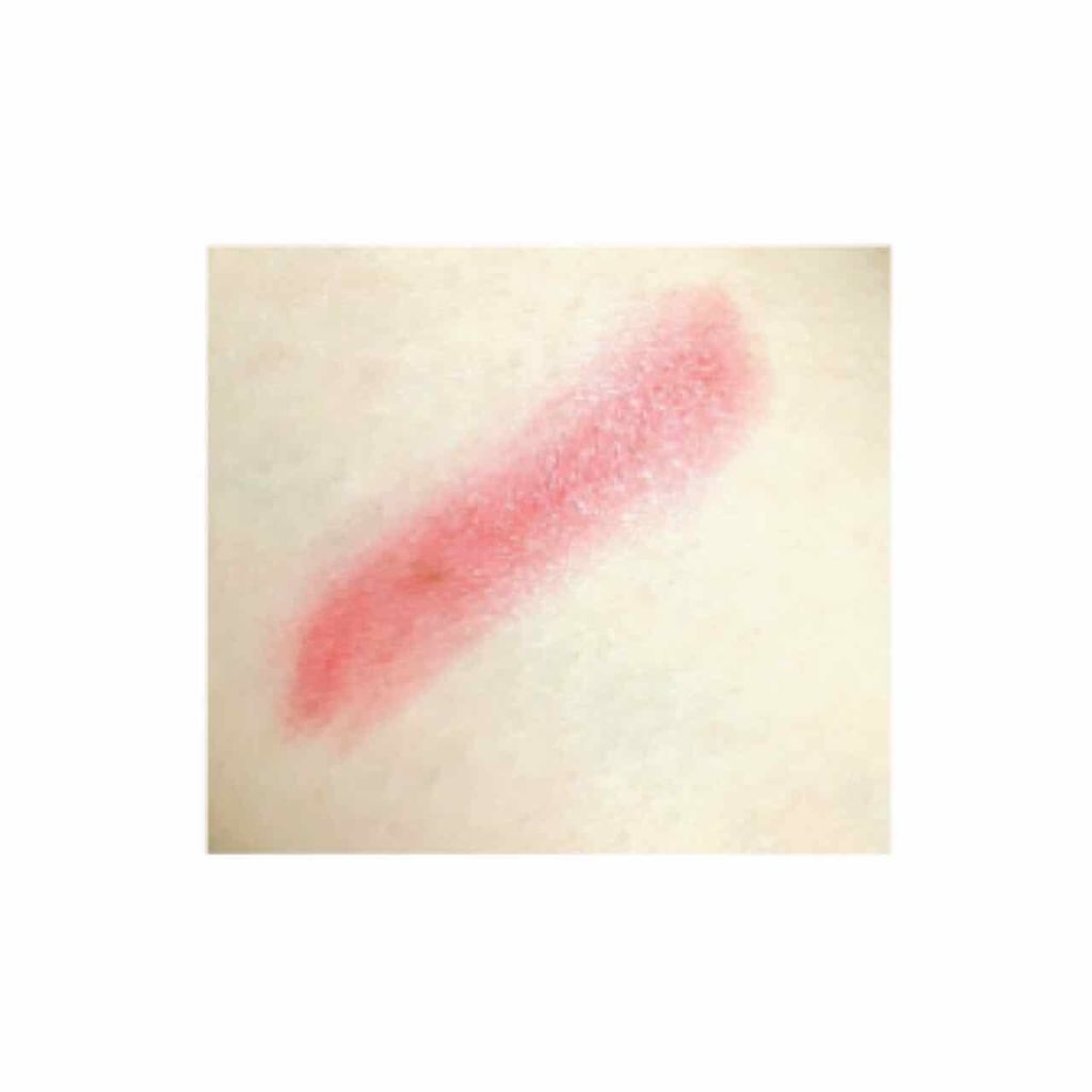 ミニリップ/media/口紅を使ったクチコミ（3枚目）