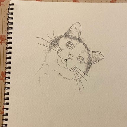 喪女子さん on LIPS 「こんばんは、喪女子です。中学2年の時のスケブが発掘されました!..」(4枚目)