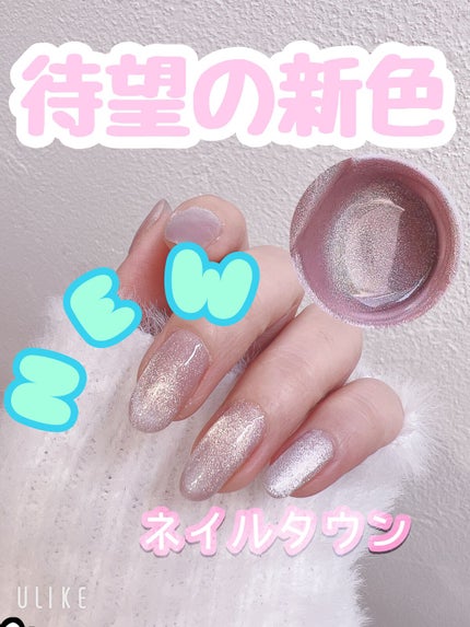 マグネットジェル/NAILTOWN/ジェルネイルを使ったクチコミ(1枚目)