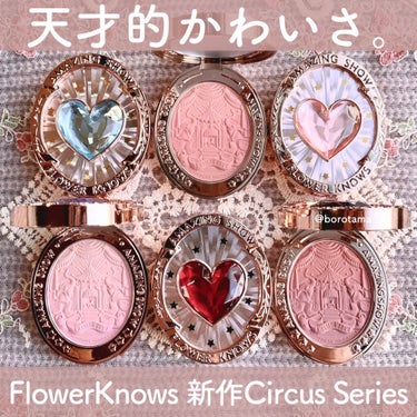 サーカスシリーズ グラデーションブラッシュ /FlowerKnows/パウダーチークを使ったクチコミ（1枚目）