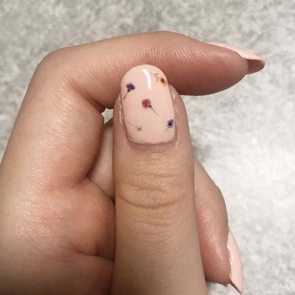 ナチュラルネイルカラーN 004 ライトピンク/デュカート/マニキュアの画像