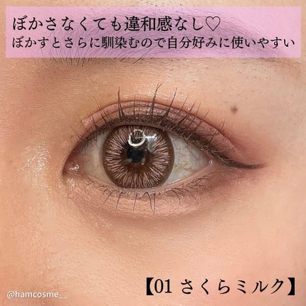 ラストパウダーペンシル/BBIA/ペンシルアイライナーを使ったクチコミ(3枚目)