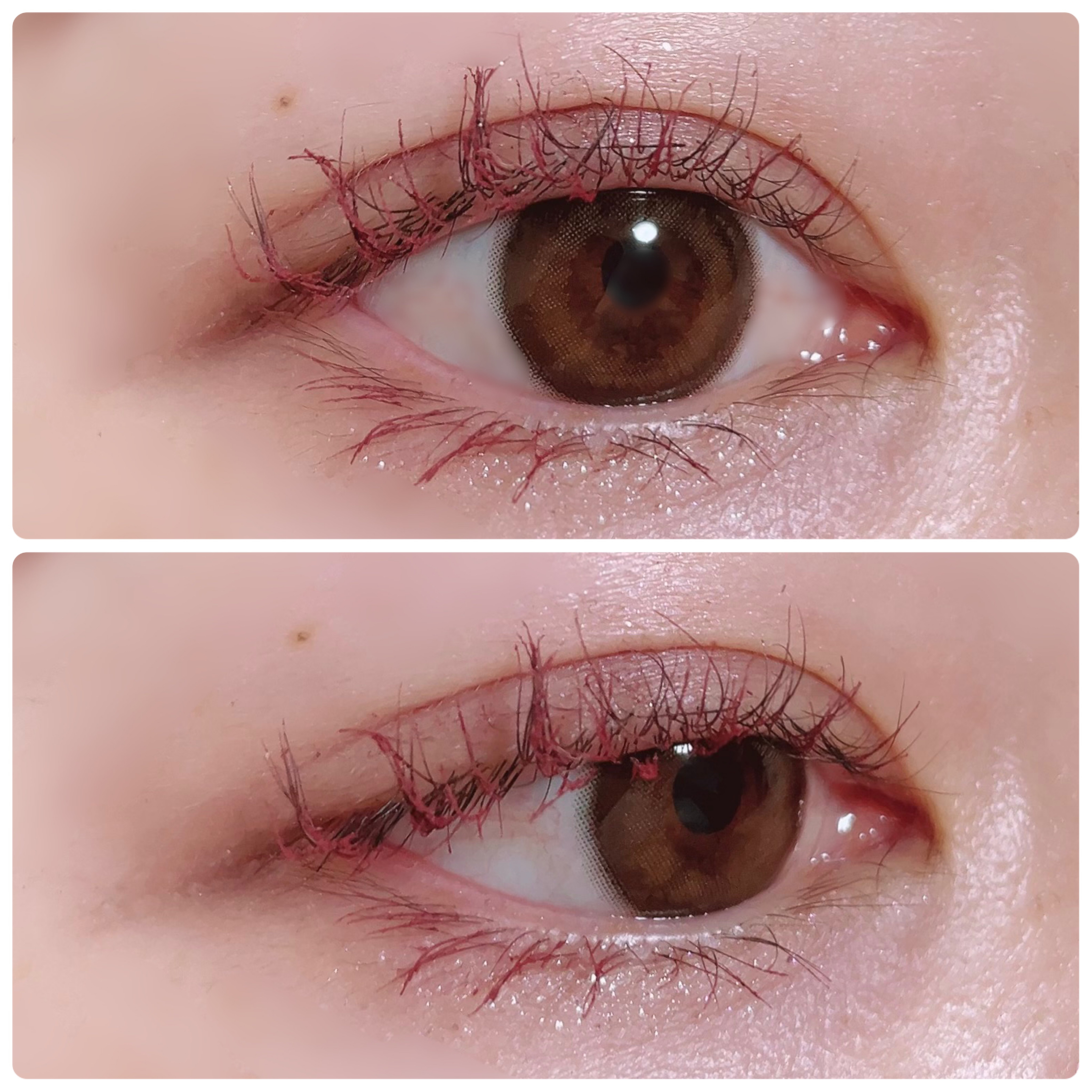オールデイ ボリュームアンドカールマスカラ ローズブラウン/Milk Touch/マスカラを使ったクチコミ（3枚目）