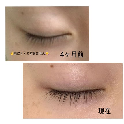 EMAKED(エマーキット)/水橋保寿堂製薬/まつげ美容液を使ったクチコミ(3枚目)