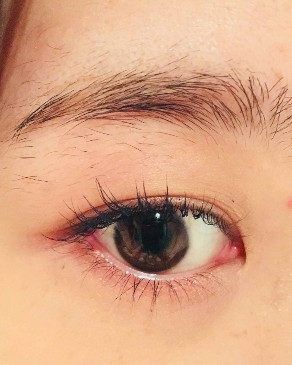 【旧品】パーフェクトスタイリストアイズ/キャンメイク/アイシャドウパレットを使ったクチコミ(2枚目)