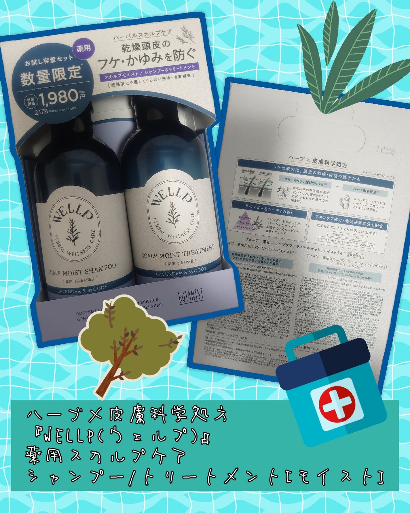 薬用シャンプー/リンス/オクト/市販シャンプーを使ったクチコミ(1枚目)