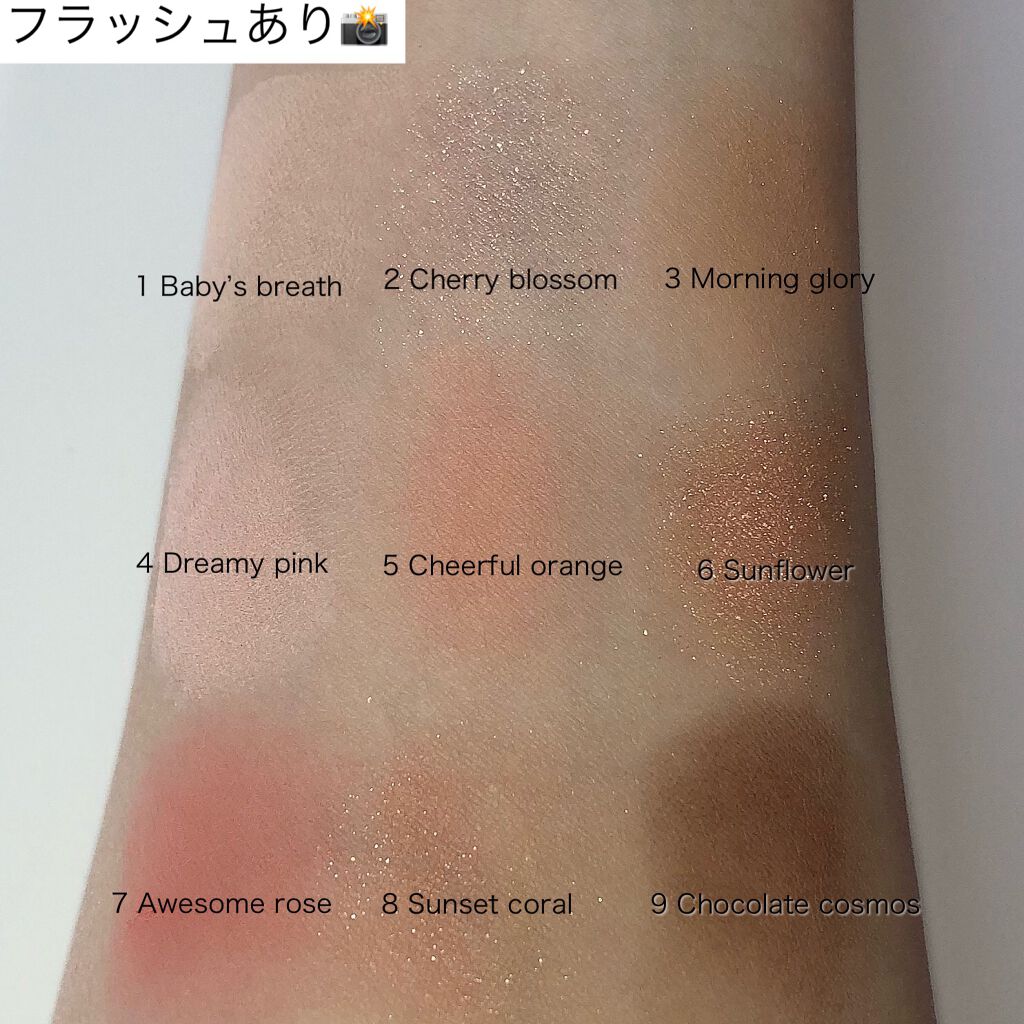 ワンピックアイシャドウパレット/APLIN/アイシャドウパレットを使ったクチコミ(5枚目)