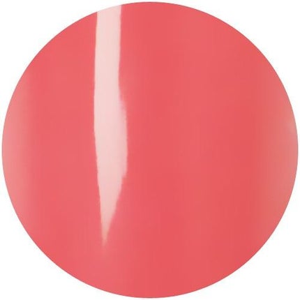 F056 プロシュット