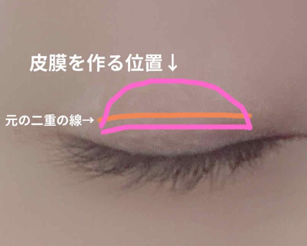 プロアイフェクトEX/プロアイフェクトEX/二重まぶた用アイテムを使ったクチコミ(2枚目)