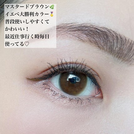 シルキーリキッドアイライナーWP/D-UP/リキッドアイライナーを使ったクチコミ(3枚目)