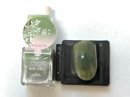 ミニネイル/パラドゥ/マニキュアを使ったクチコミ(3枚目)