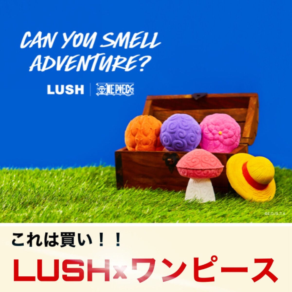 Ete on LIPS 「LUSH×ワンピースこれは買い!!✼••┈┈••✼••┈┈••..」(1枚目)