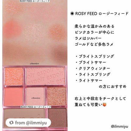 リアルアイパレット/espoir/マルチパレットを使ったクチコミ(2枚目)