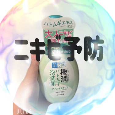 極潤 ハトムギ泡洗顔 160ml（ポンプ）/肌ラボ/泡洗顔の画像