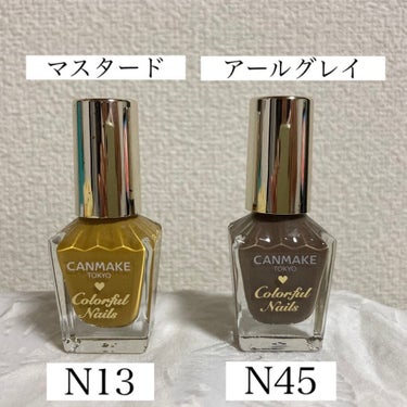 カラフルネイルズ N45 アールグレイ/キャンメイク/マニキュアを使ったクチコミ（2枚目）