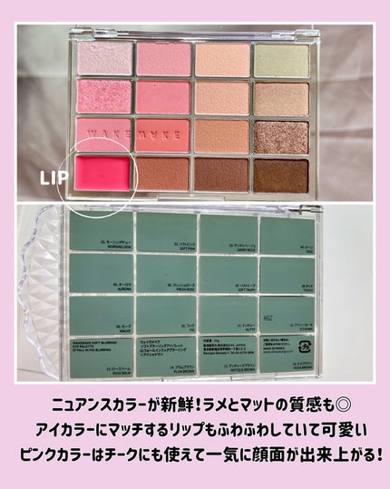 ソフトブラーリングアイパレット/wakemake/アイシャドウパレットを使ったクチコミ(6枚目)