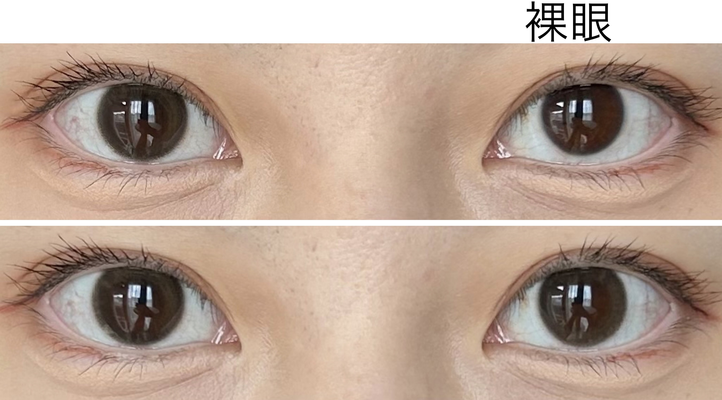 TOPARDS 1day グローブラウン/TOPARDS/ワンデー（１DAY）カラコンを使ったクチコミ（2枚目）