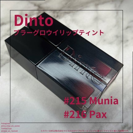 ブラーグロイリップティント/Dinto/リップティントを使ったクチコミ(1枚目)