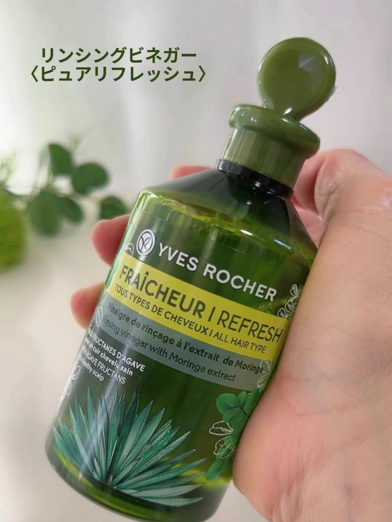 リンシングビネガー ピュアリフレッシュ うるツヤモリンガ /イヴ・ロシェ/洗い流すヘアトリートメントを使ったクチコミ(8枚目)