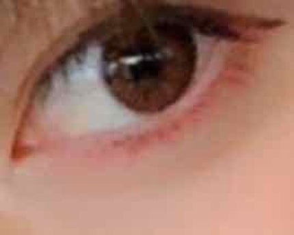 アイニュアンス/キャンメイク/アイシャドウパレットを使ったクチコミ(1枚目)