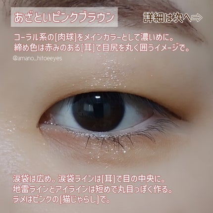 エクスプローラ12色 動物アイシャドウパレット/PERFECT DIARY/アイシャドウパレットを使ったクチコミ(5枚目)