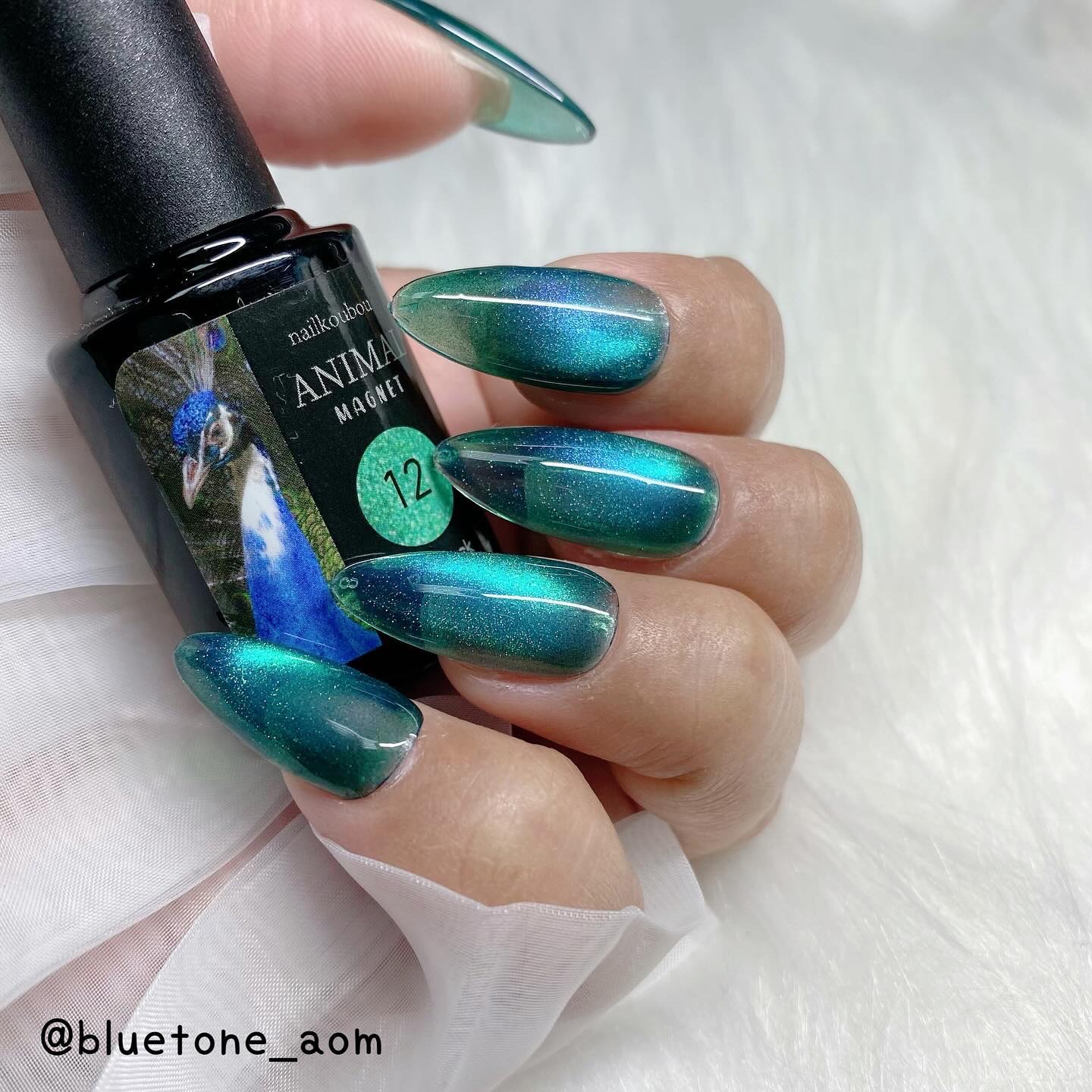 アニマルマグネットジェル/ネイル工房/ジェルネイルを使ったクチコミ（1枚目）