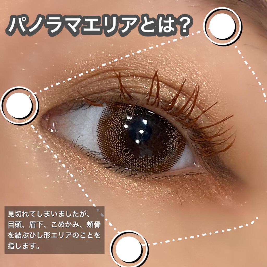 パノラマデザイン アイパレット/Visée/アイシャドウパレットを使ったクチコミ(4枚目)