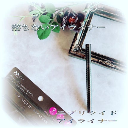 ニブ リクイドアイライナー BR1/ATSUSHI NAKASHIMA Cosme/リキッドアイライナーを使ったクチコミ(1枚目)