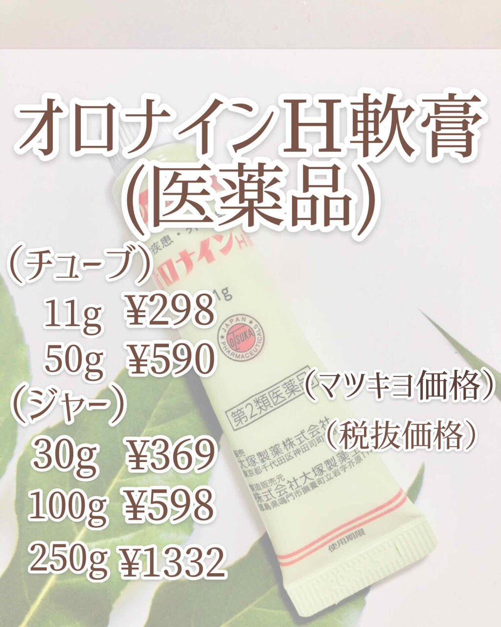 市場 第2類医薬品 ビン オロナインh軟膏 100g皮膚の薬
