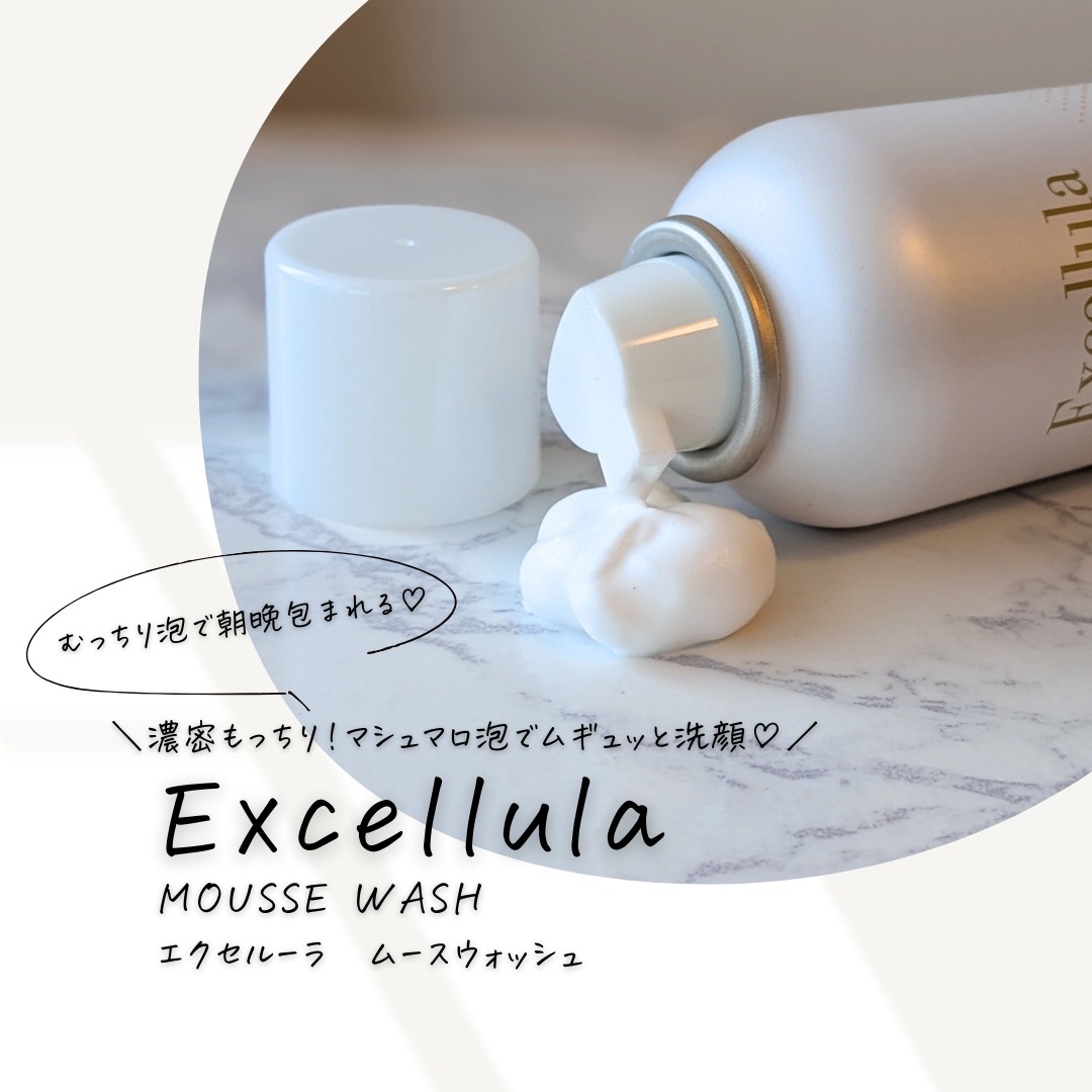 エクセルーラ ムースウォッシュ/Excellula/洗顔フォームを使ったクチコミ（1枚目）