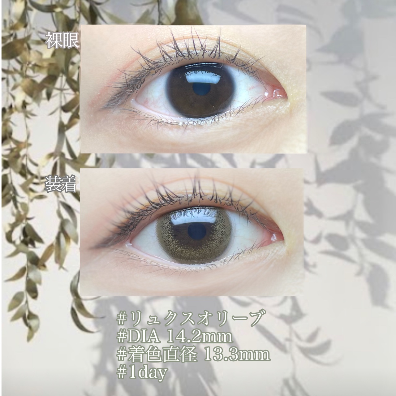  １DAY Refrear elebelle/Refrear/ワンデー（１DAY）カラコンを使ったクチコミ（2枚目）